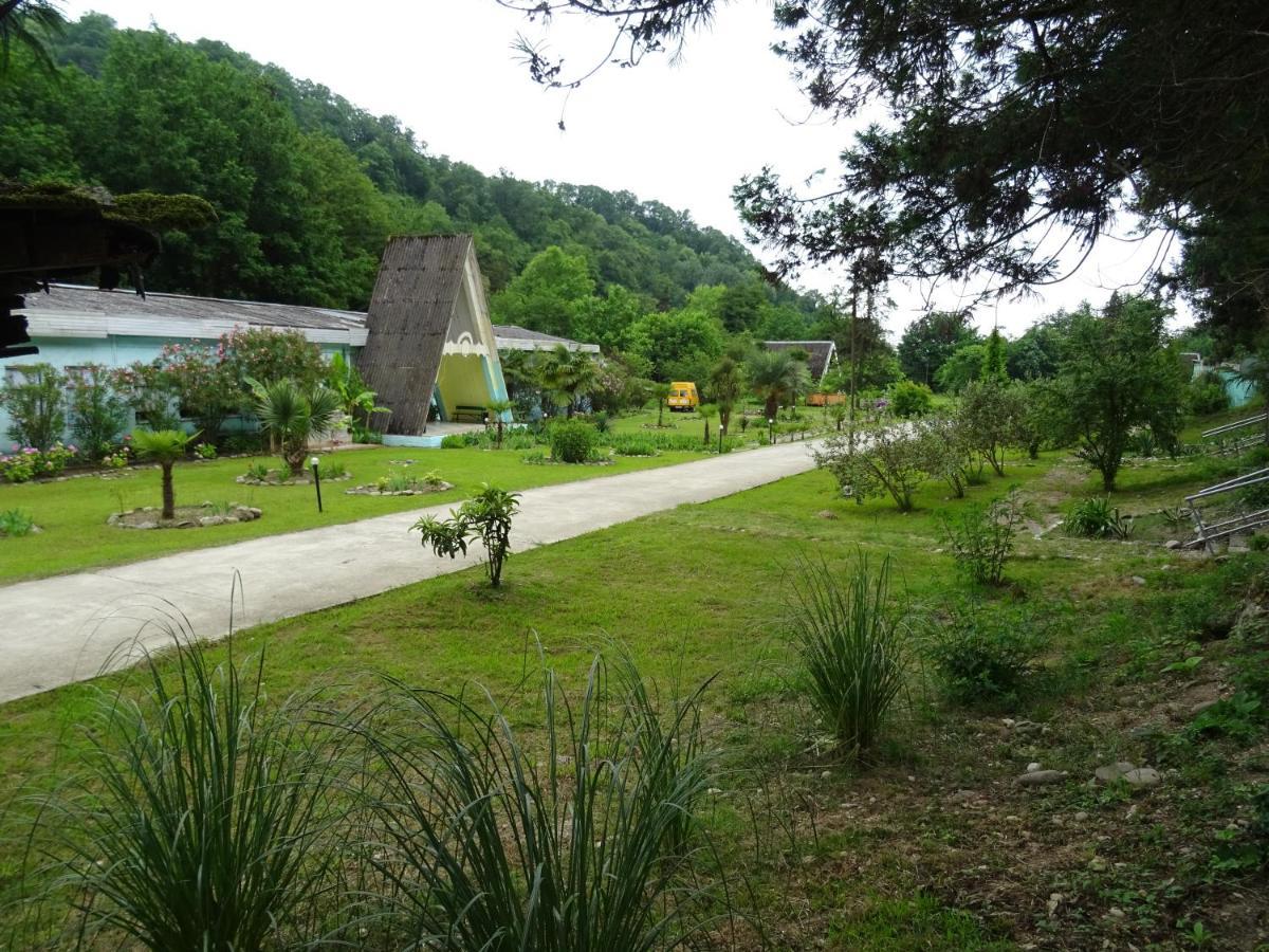 Золотая Бухта База Отдыха Pitsunda Exterior foto